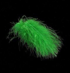 Перья CDC HENDS 25шт. цв.green fluo CDC-25-96(Чехия)