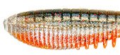 Виброхвост PONTOON 21 Awaruna Evo 5.0'' 13см цв.1305 3шт.(Китай)