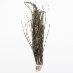 Перья павлина FLY-FISHING цв.natural 1гр.(Россия)