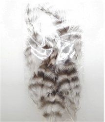 Перья петуха WHITING Coq De Leon цв.grizzly pardo(США)