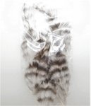 Перья петуха WHITING Coq De Leon цв.grizzly pardo(США)